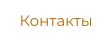 Контакты